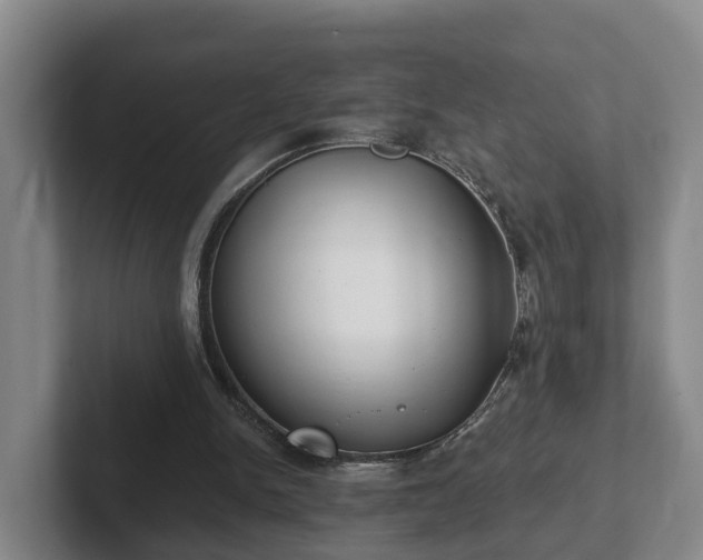 X0000102410150200808081331