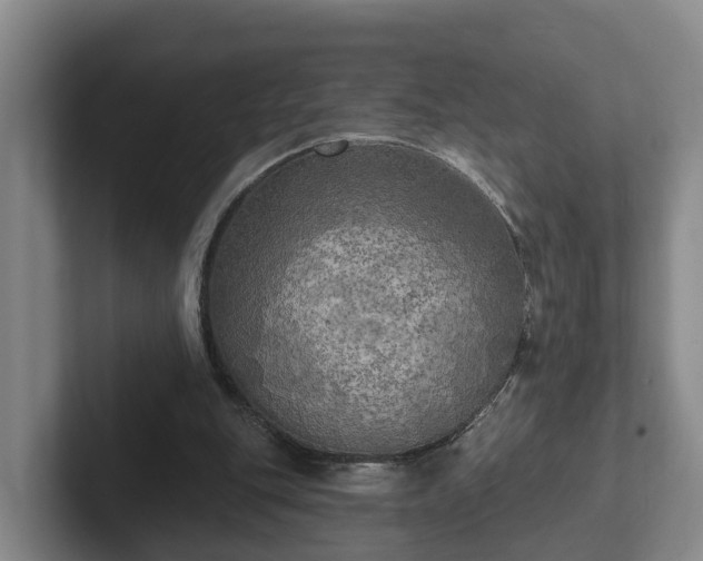 X0000102410151200808081331