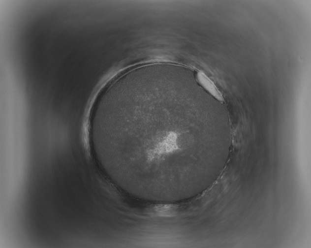 X0000102410152200808081331