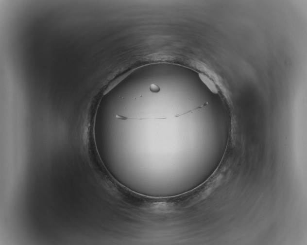 X0000102410153200808081331