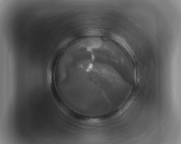 X0000102410157200808081331