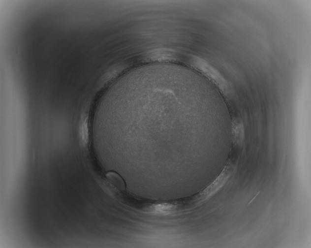 X0000102410158200808081331