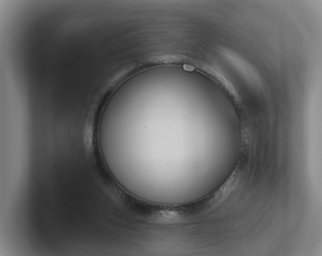 X0000102410159200808081331