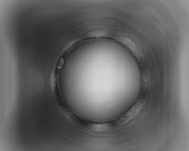 X0000102410160200808081331