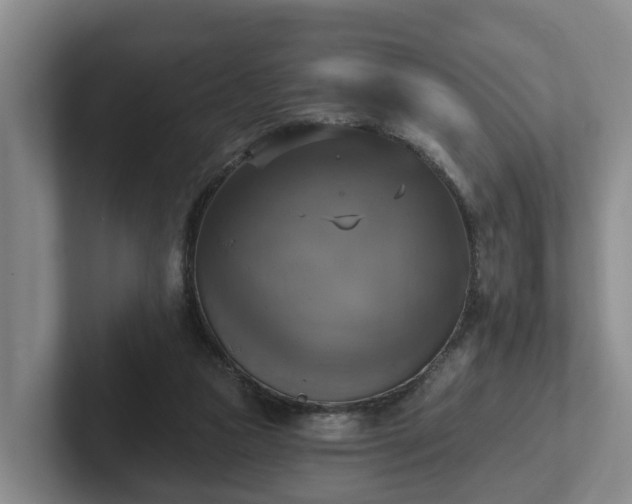 X0000102410161200808081331