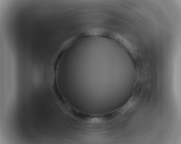 X0000102410163200808081331