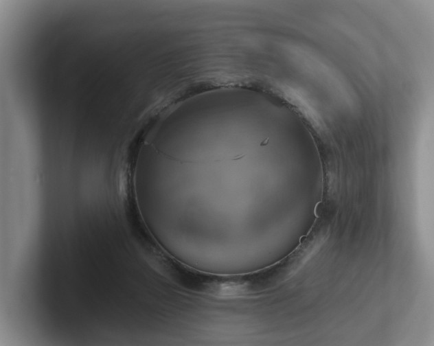 X0000102410165200808081331