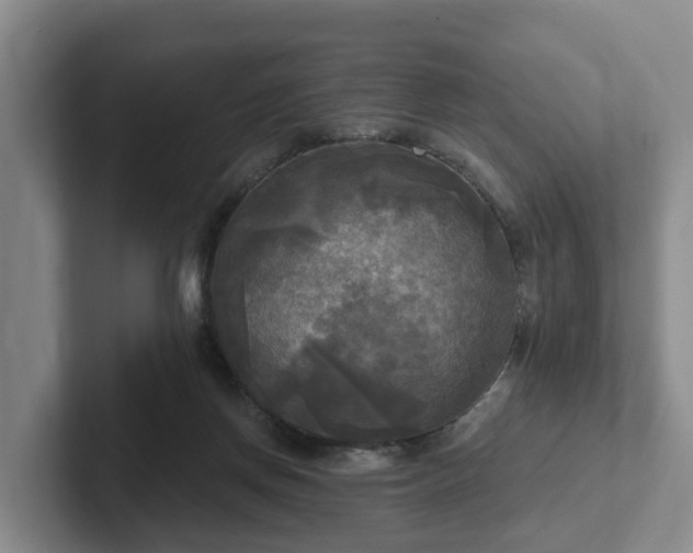 X0000102410166200808081331