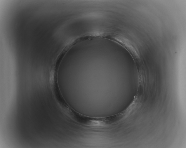 X0000102410167200808081331