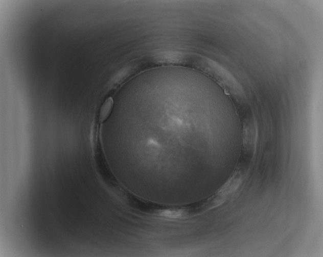 X0000102410168200808081331