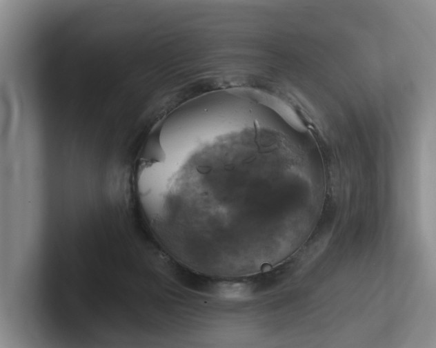 X0000102410169200808081331