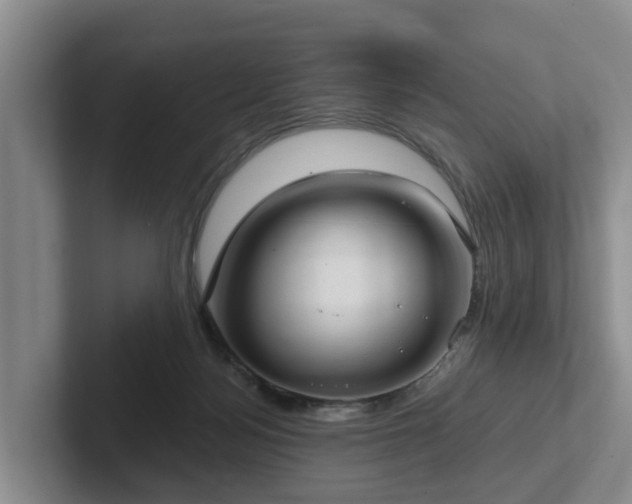 X0000102410172200808081332