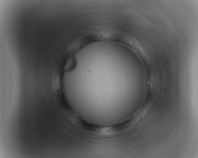 X0000102410173200808081332