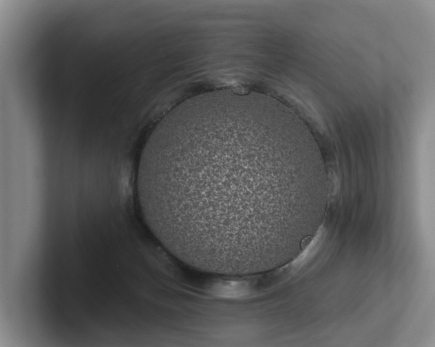 X0000102410174200808081332