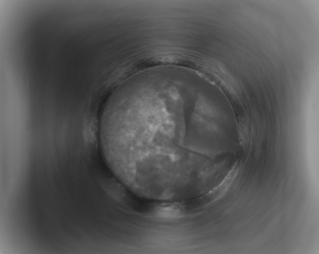 X0000102410175200808081332