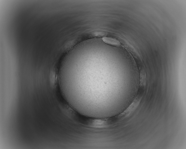 X0000102410176200808081332