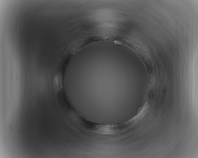 X0000102410182200808081332