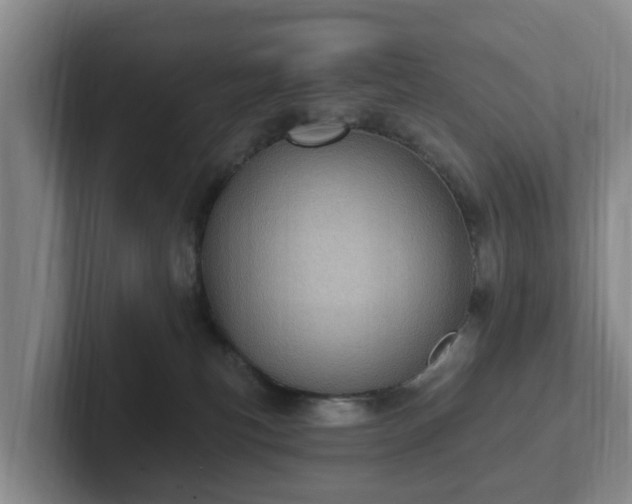 X0000102410183200808081332