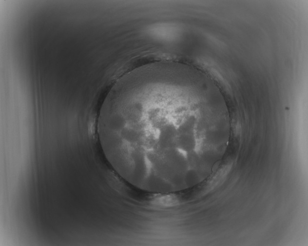 X0000102410185200808081332