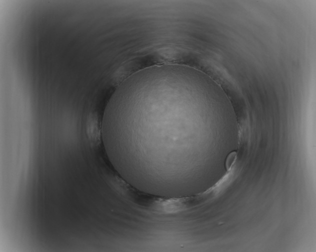 X0000102410186200808081332