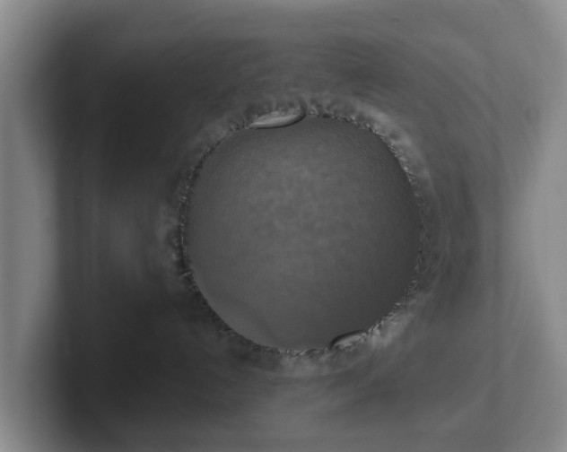 X0000102410192200808081332