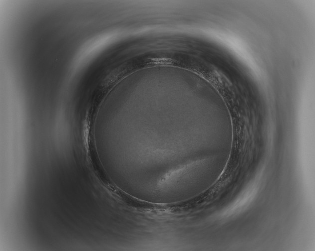 X0000102410194200808081331