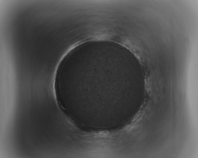 X0000102410196200808081331