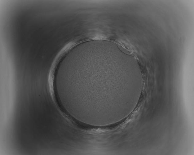 X0000102410197200808081331