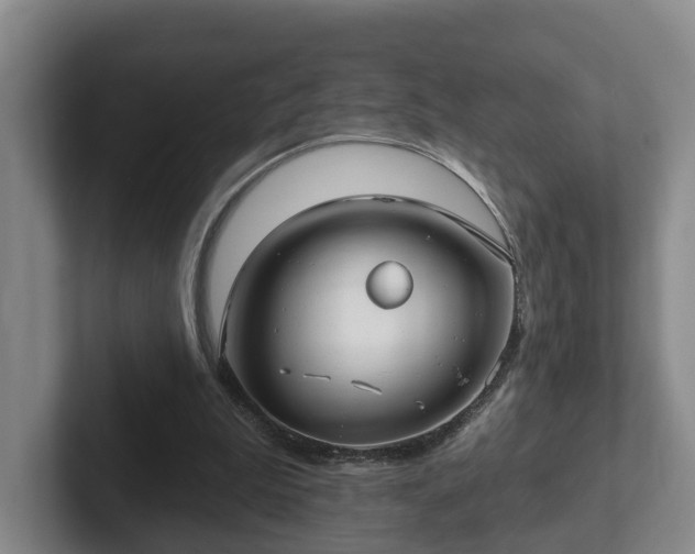 X0000102410199200808081331