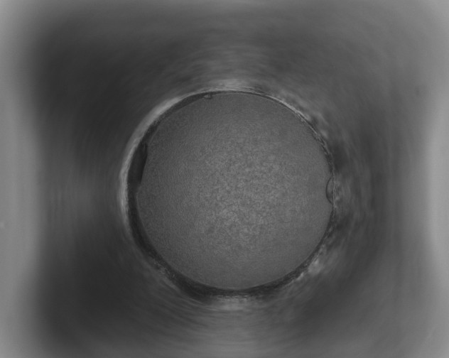 X0000102410200200808081331