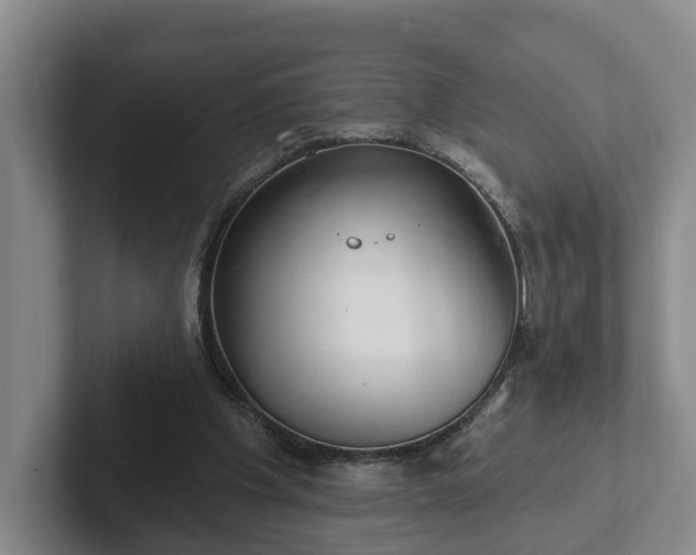 X0000102410201200808081331