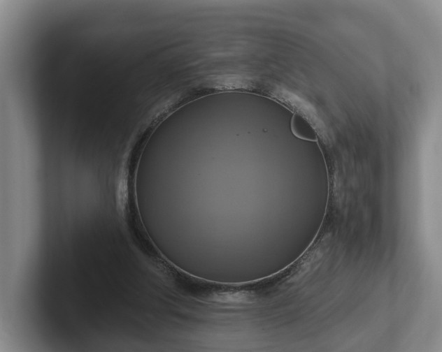 X0000102410202200808081331