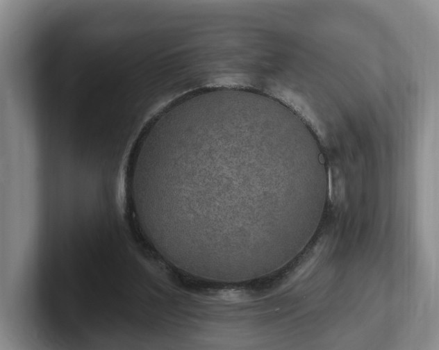 X0000102410204200808081331