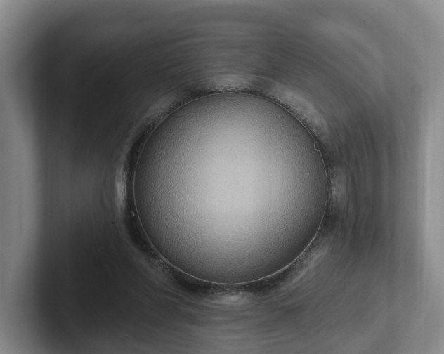 X0000102410206200808081331