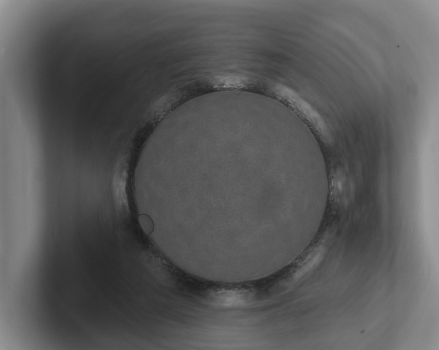 X0000102410209200808081331