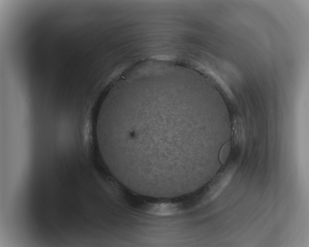 X0000102410212200808081331