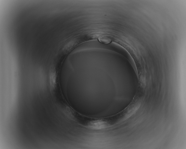 X0000102410219200808081331