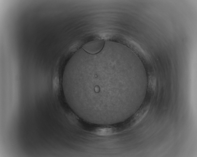 X0000102410220200808081331