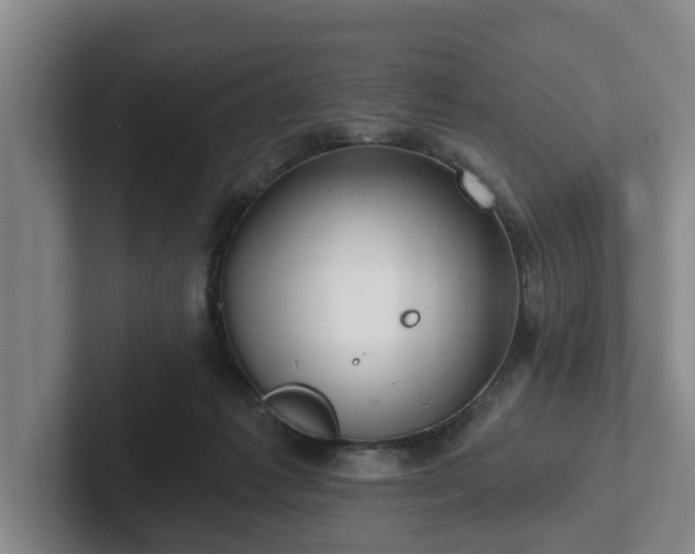 X0000102410221200808081331