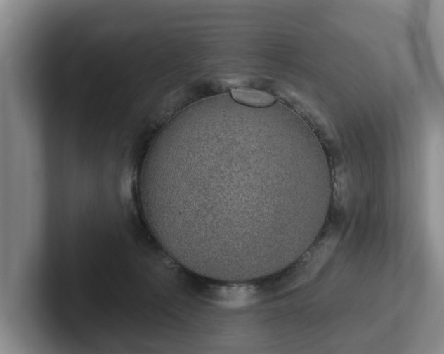 X0000102410225200808081331