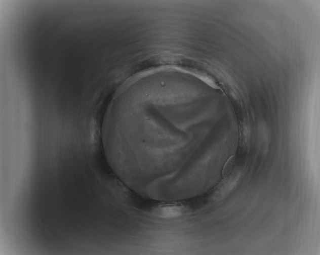 X0000102410228200808081331