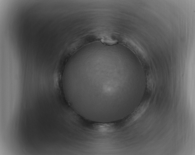 X0000102410229200808081331