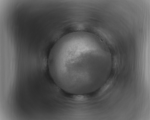 X0000102410230200808081331