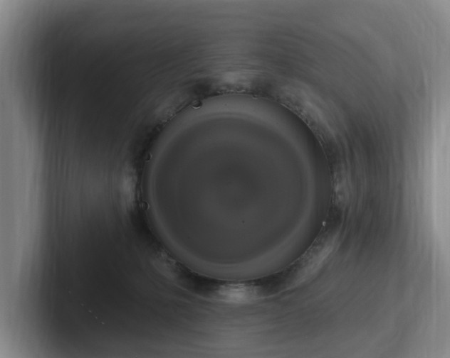 X0000102410231200808081331