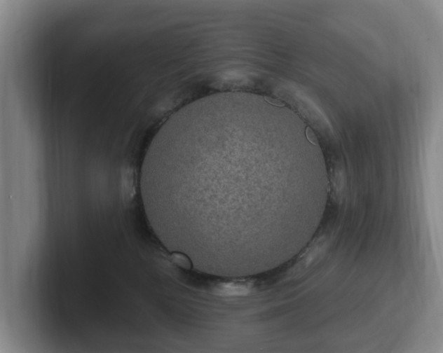 X0000102410232200808081331