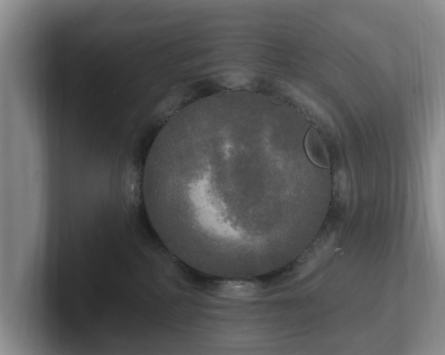 X0000102410234200808081331