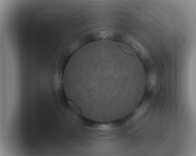 X0000102410236200808081331