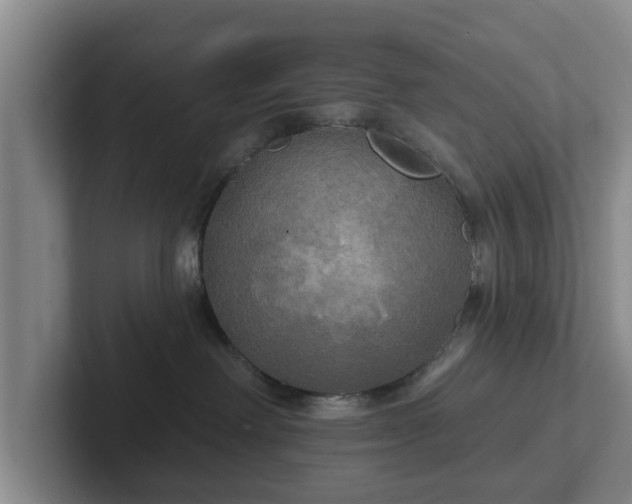 X0000102410238200808081331