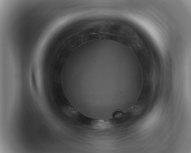 X0000102410239200808081331