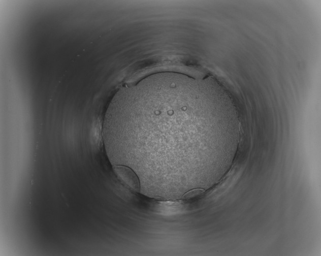 X0000102410240200808081331